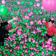 Illustration for article titled The worlds largest ball pit has a whopping one million balls in it